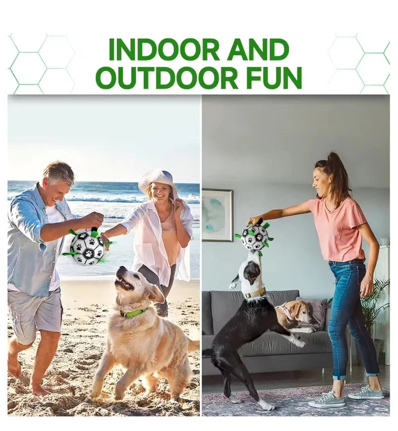 Pet Dog Football Toy Puppy Outdoor Training Interactive Soccer Play Ball