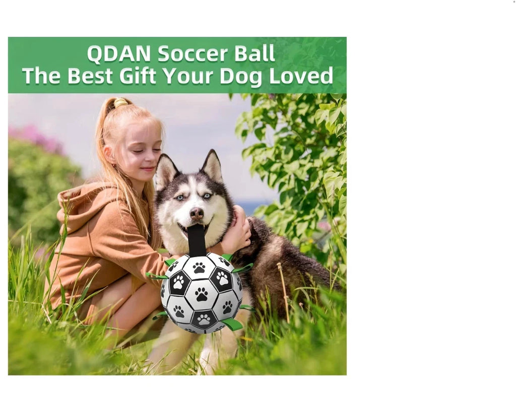 Pet Dog Football Toy Puppy Outdoor Training Interactive Soccer Play Ball